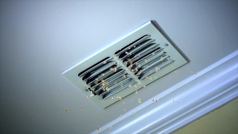 Best Air Duct Cleaning Near Me  in Lebanon, KY