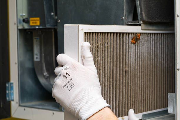 Best Professional Duct Cleaning Services  in Lebanon, KY