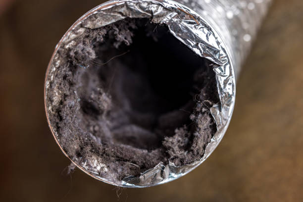 Best Duct Cleaning for Offices  in Lebanon, KY