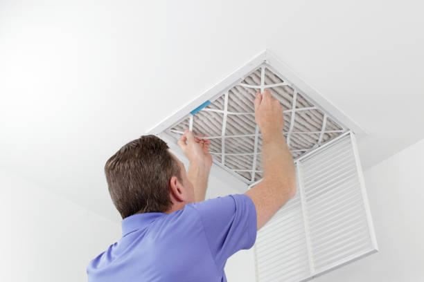 Air Duct Mold Removal in KY